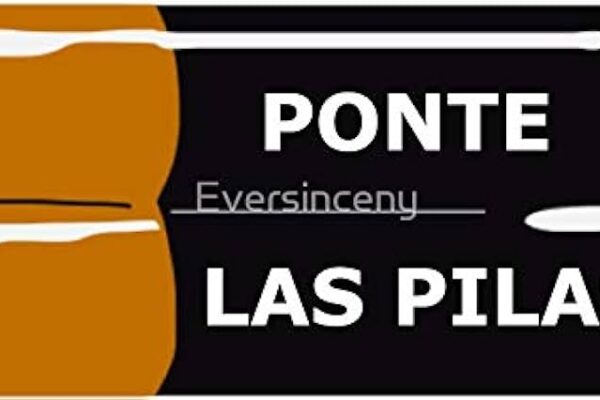 Ponte Las Pilas Guide: Your Comprehensive Resource for Success