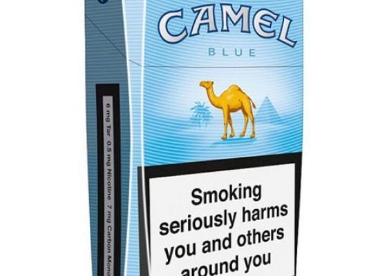 Camel Blue Guide: Your Comprehensive Resource for Success