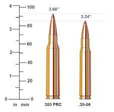 338 lapua vs 3006  Guide: Your Comprehensive Resource for Success