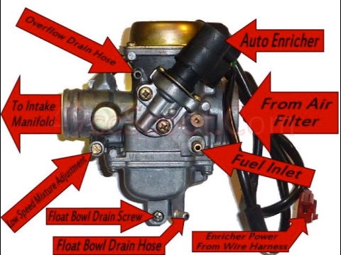 Carburetor Hoses Diagram Guide: Your Comprehensive Resource for Success